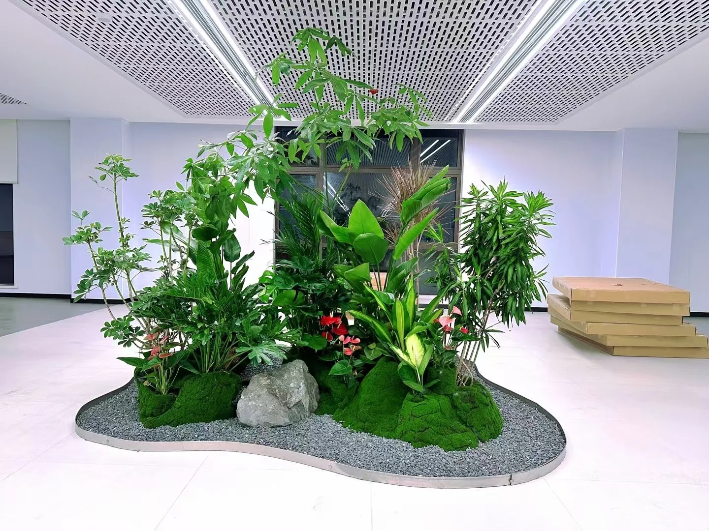 专业盆景租赁,宁波镇海为您的空间添绿