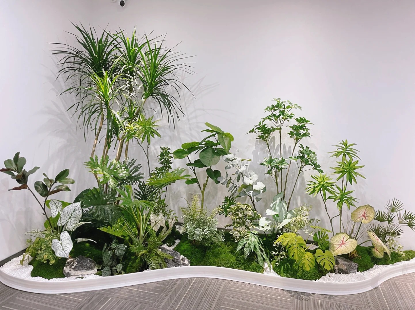 专业盆景租赁,宁波镇海为您的空间添绿